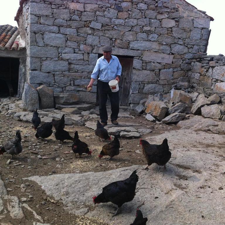 Casa Rural El Linaje De Los Cinco Sombreros Gallegos De San Vicente Kültér fotó